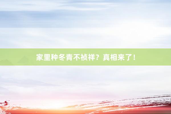 家里种冬青不祯祥？真相来了！