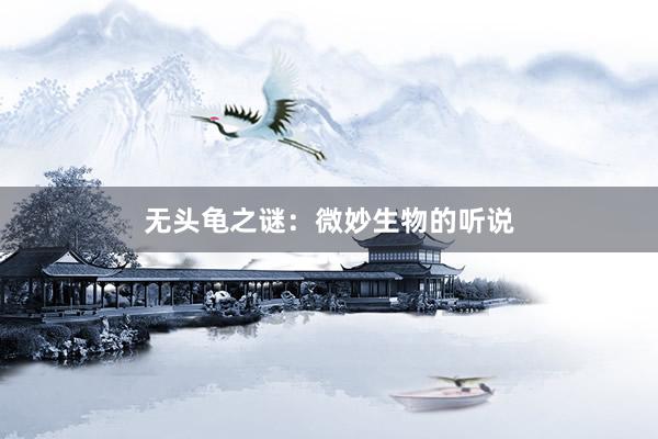 无头龟之谜：微妙生物的听说